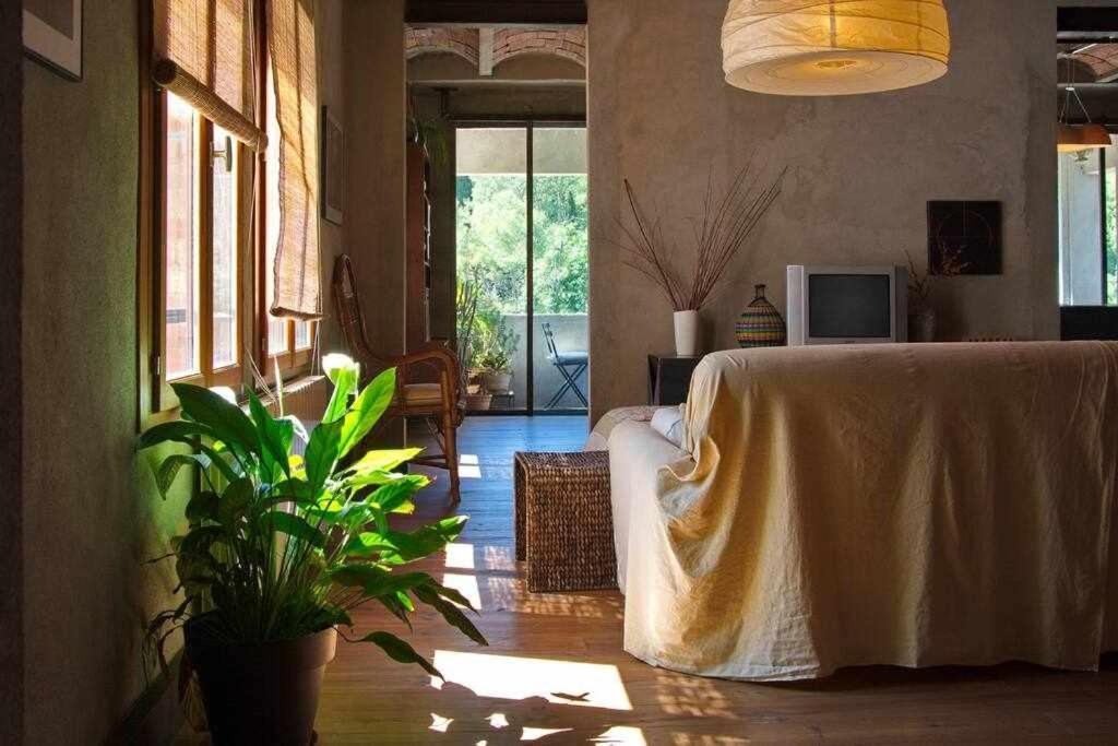 Sleep y Stay Artistico Loft Sant Daniel Gerona Exterior foto